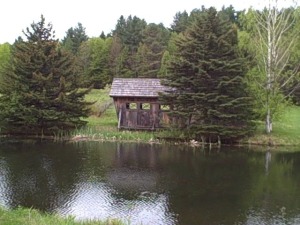 Covered Bridge and Pond
